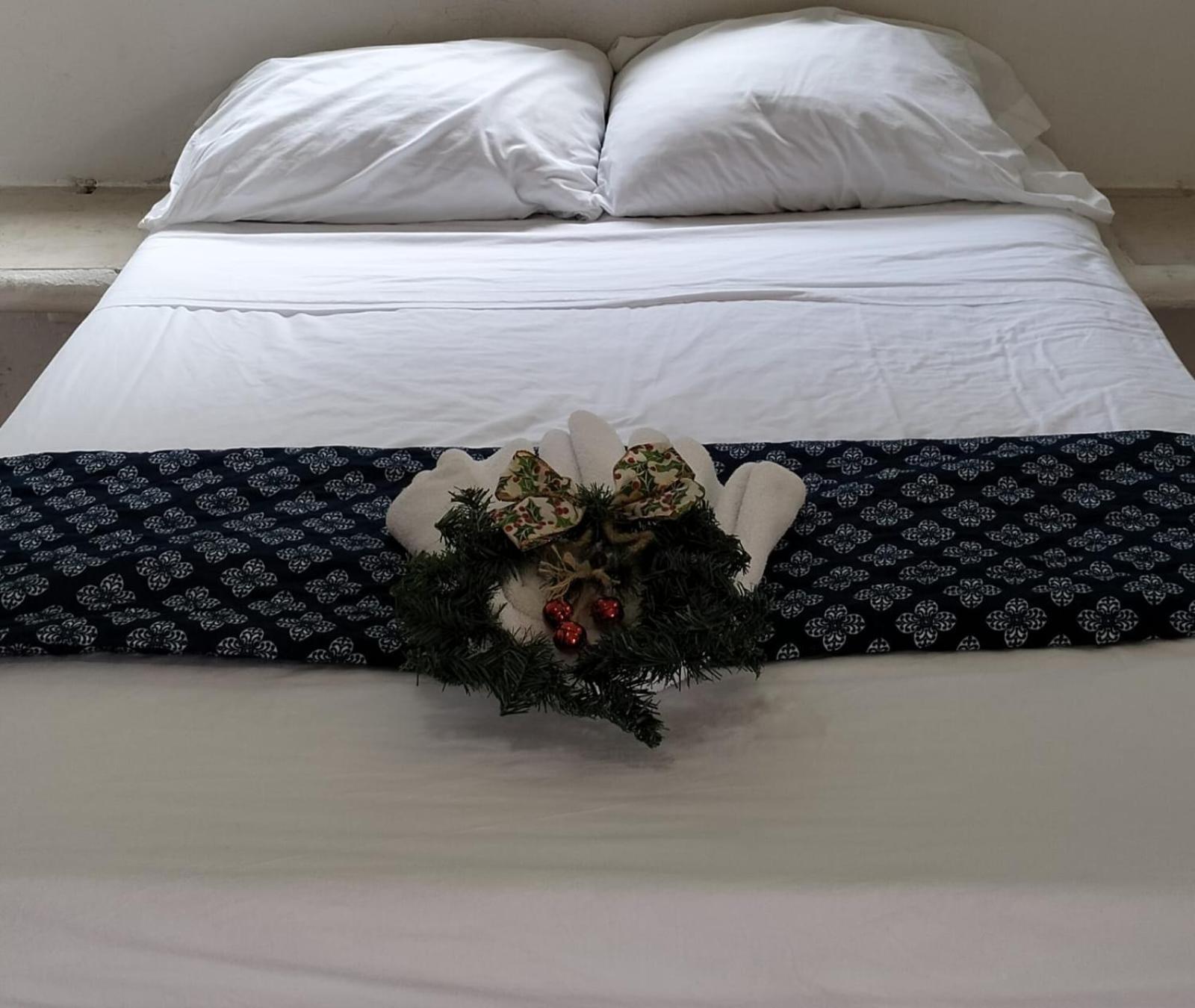 Hotel Dos Mundos, Isla コスメル エクステリア 写真