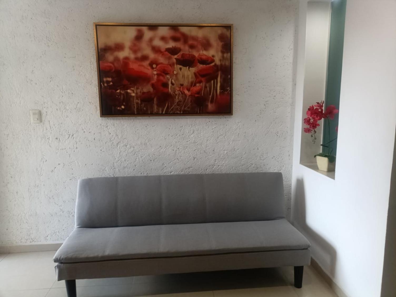 Hotel Dos Mundos, Isla コスメル エクステリア 写真