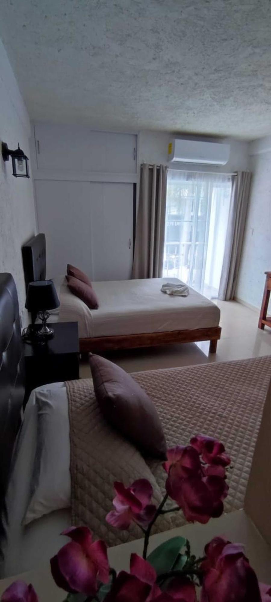 Hotel Dos Mundos, Isla コスメル エクステリア 写真